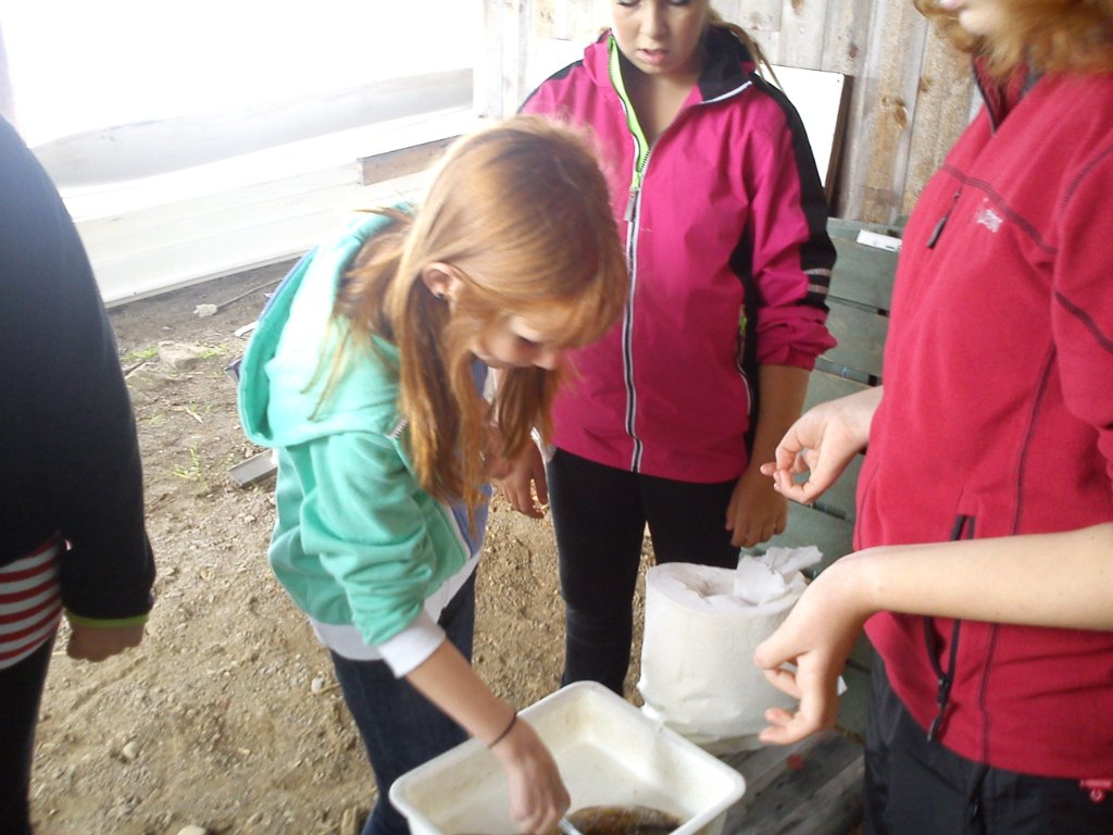 tur til sørlistua 8.trinn 034.jpg